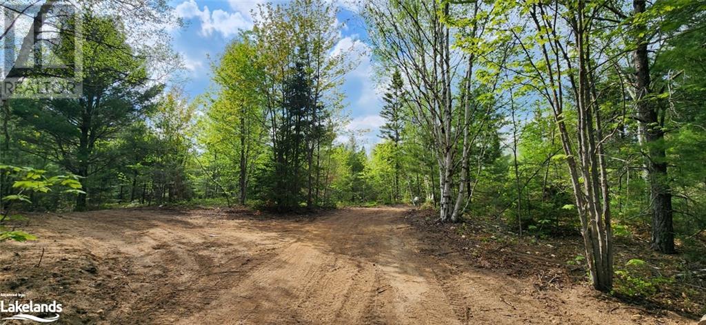 322 Goreville Road, South River, Ontario  P0A 1X0 - Photo 3 - 40592399