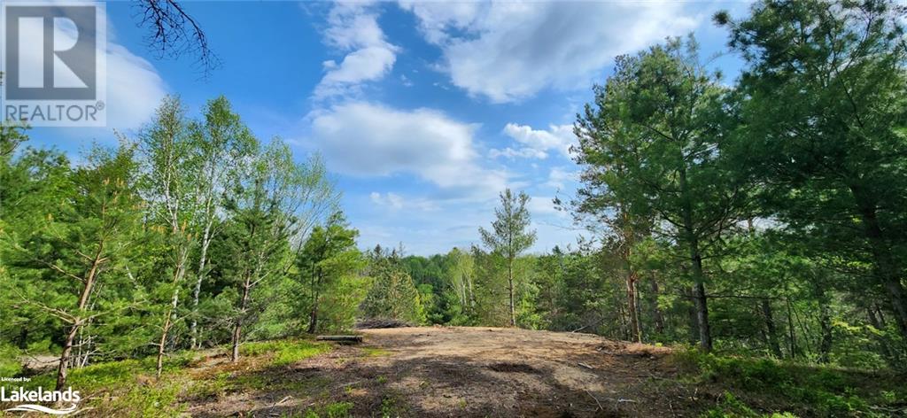 322 Goreville Road, South River, Ontario  P0A 1X0 - Photo 6 - 40592399