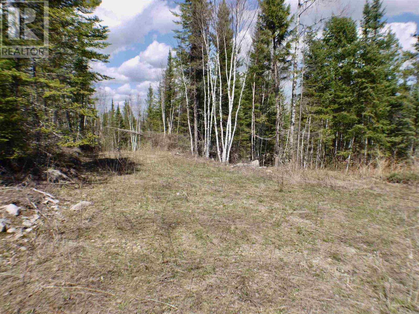 0 Brown Bay Rd, Dinorwic, Ontario  P9N 3G2 - Photo 5 - TB241359