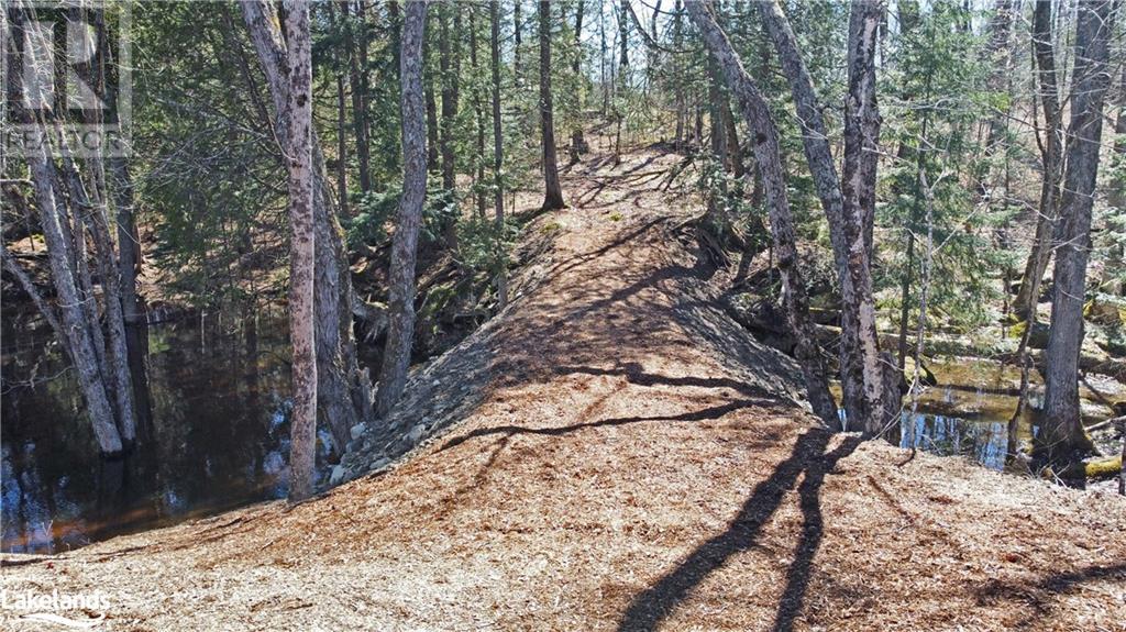 3 Rowntree Lane, Whitestone, Ontario  P0A 1G0 - Photo 39 - 40555129