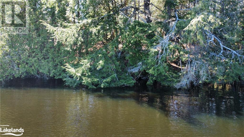 3 Rowntree Lane, Whitestone, Ontario  P0A 1G0 - Photo 37 - 40555129