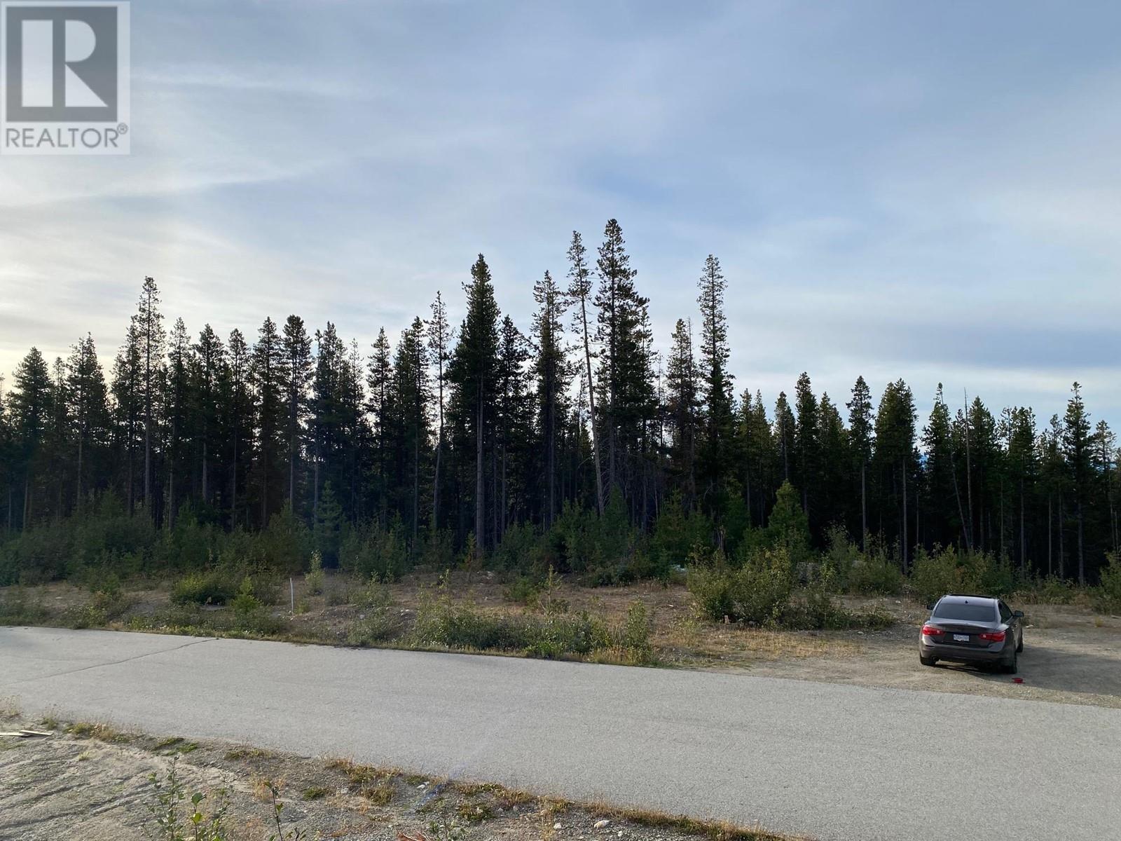 Lorem Ipsum, Oliver, British Columbia  V0H  - Photo 5 - DEMO26927608