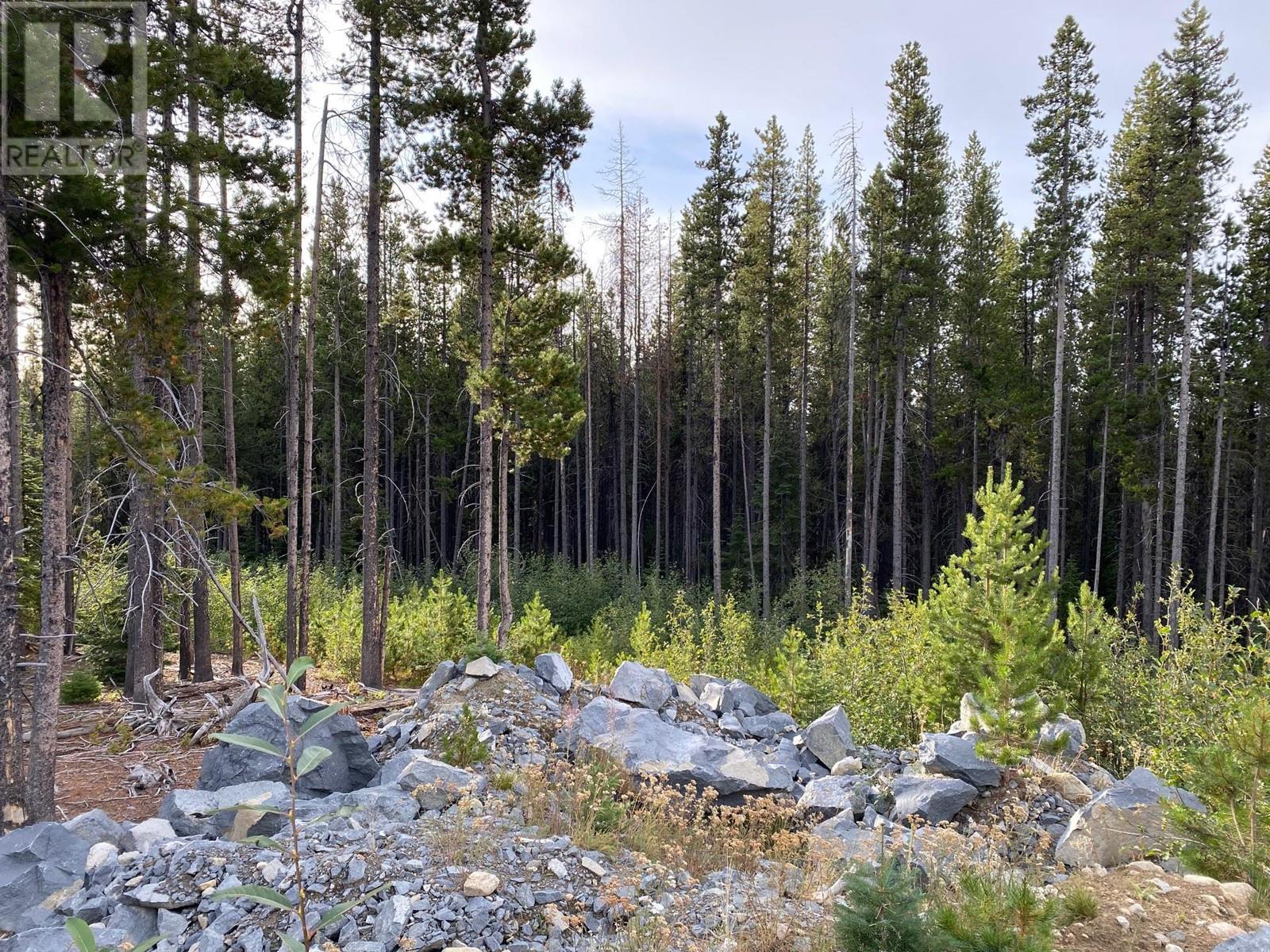 Lorem Ipsum, Oliver, British Columbia  V0H  - Photo 6 - DEMO26927608