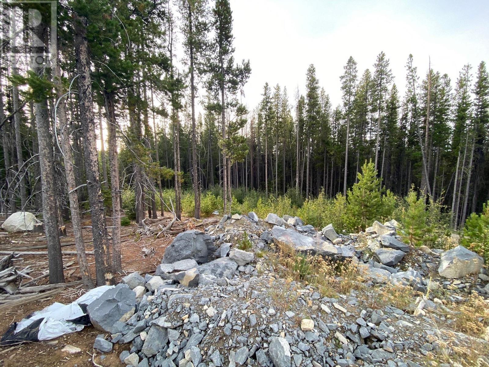 Lorem Ipsum, Oliver, British Columbia  V0H  - Photo 7 - DEMO26927608