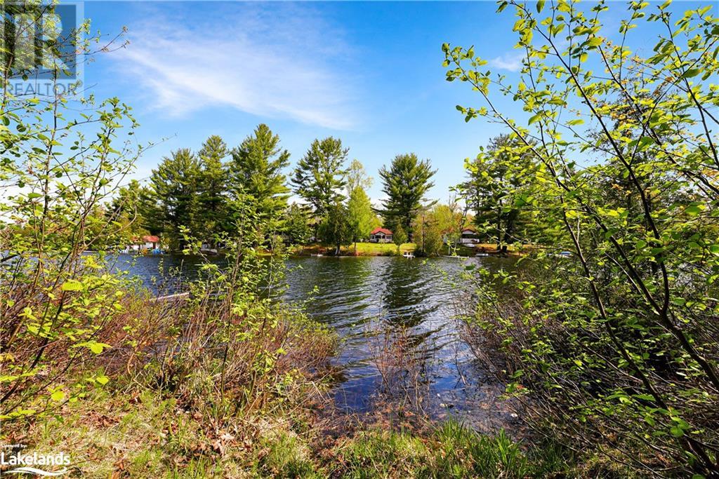 1139 Grace River Road, Wilberforce, Ontario  K0L 3C0 - Photo 2 - 40593052