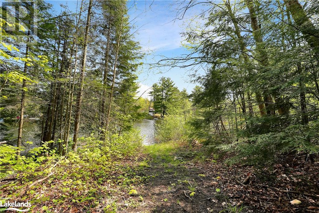 1139 Grace River Road, Wilberforce, Ontario  K0L 3C0 - Photo 31 - 40593052