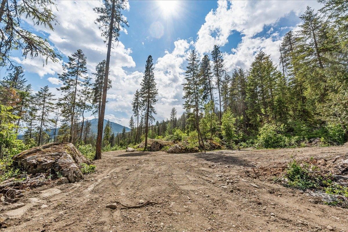 Lot 1 Sadler Road, South Slocan, British Columbia  V0G 2G1 - Photo 10 - 2477156