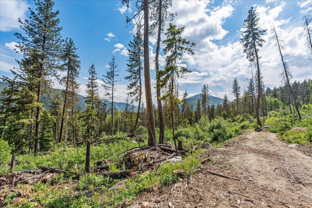 Lot 1 Sadler Road, South Slocan, British Columbia  V0G 2G1 - Photo 15 - 2477156