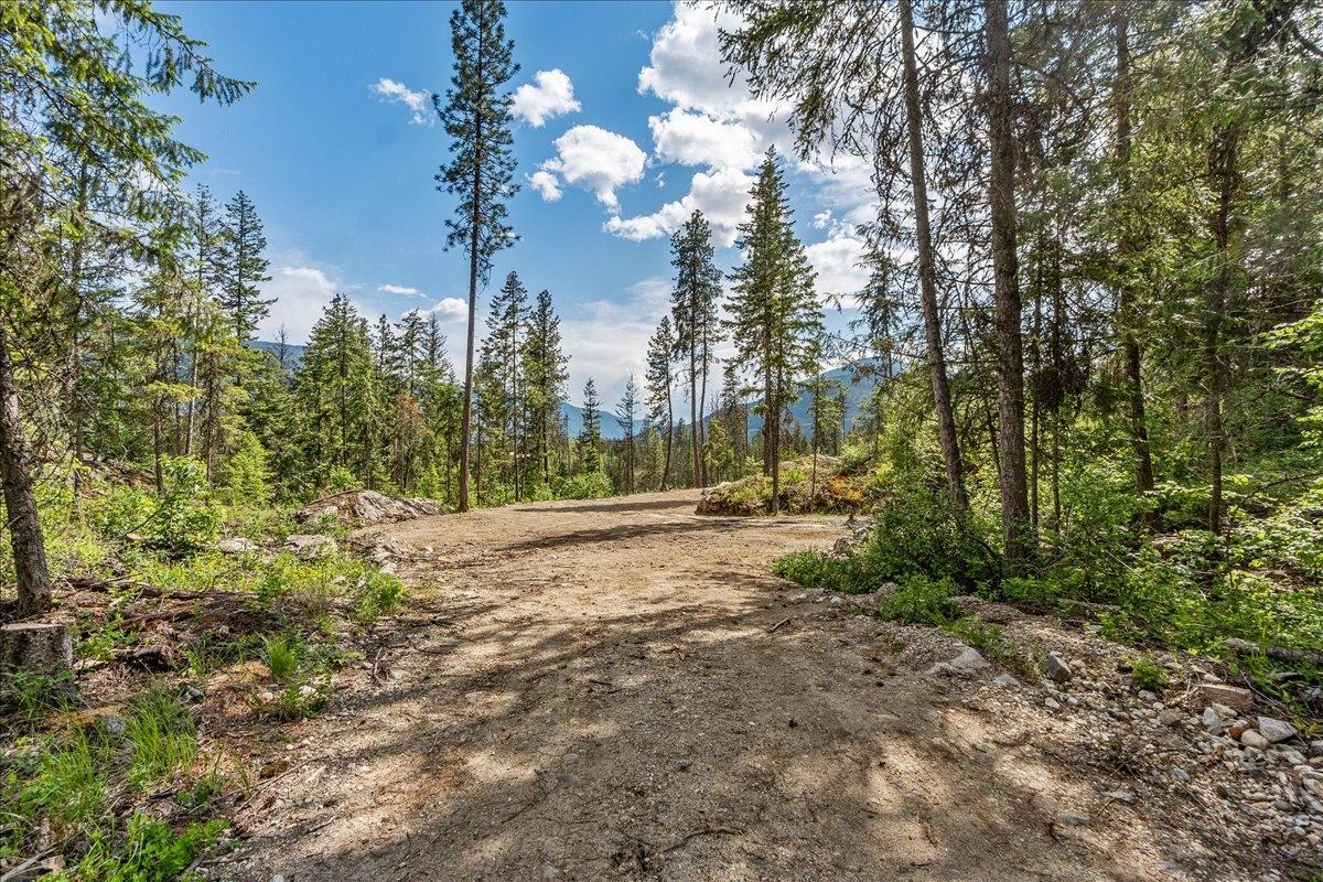 Lot 1 Sadler Road, South Slocan, British Columbia  V0G 2G1 - Photo 7 - 2477156