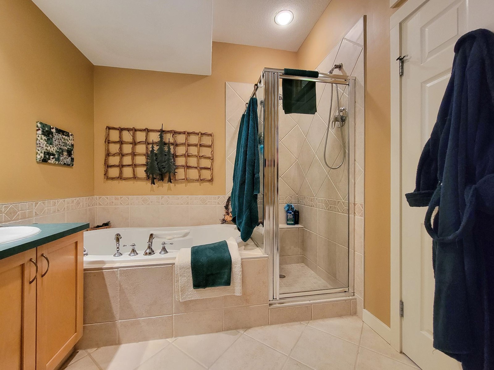 31a Wolf Crescent, Invermere, British Columbia  V0A 1K2 - Photo 41 - 2477147