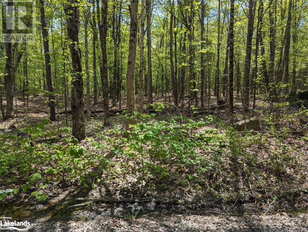 0 Healey Lake Road, Bracebridge, Ontario  P1L 1X3 - Photo 3 - 40593071