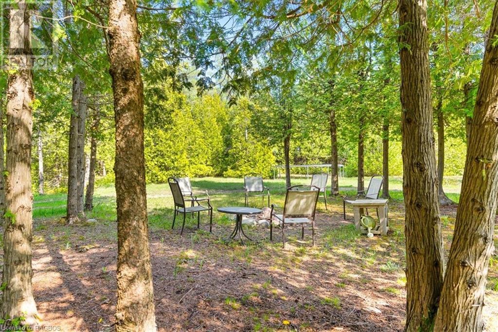 55 Forbes Road, Northern Bruce Peninsula, Ontario  N0H 2T0 - Photo 34 - 40587071