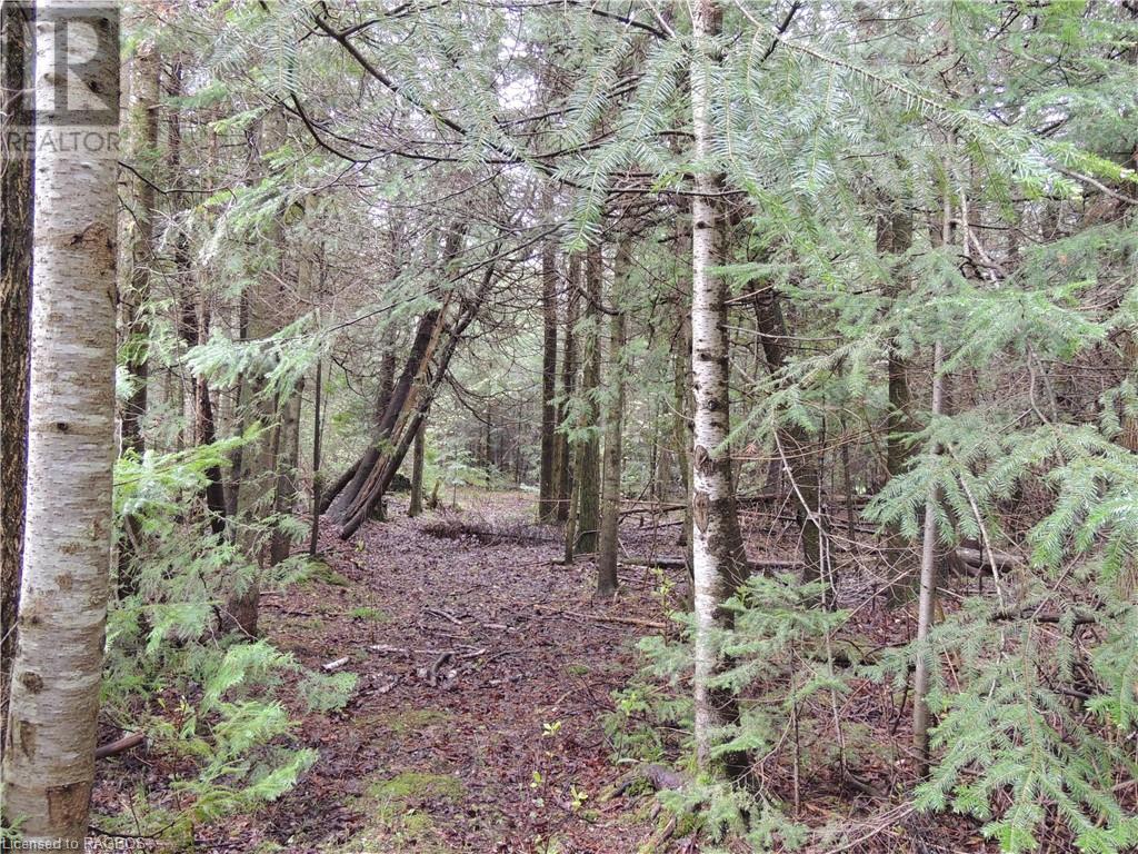 348305 4th Concession B, Grey Highlands, Ontario  N0C 1H0 - Photo 10 - 40593399