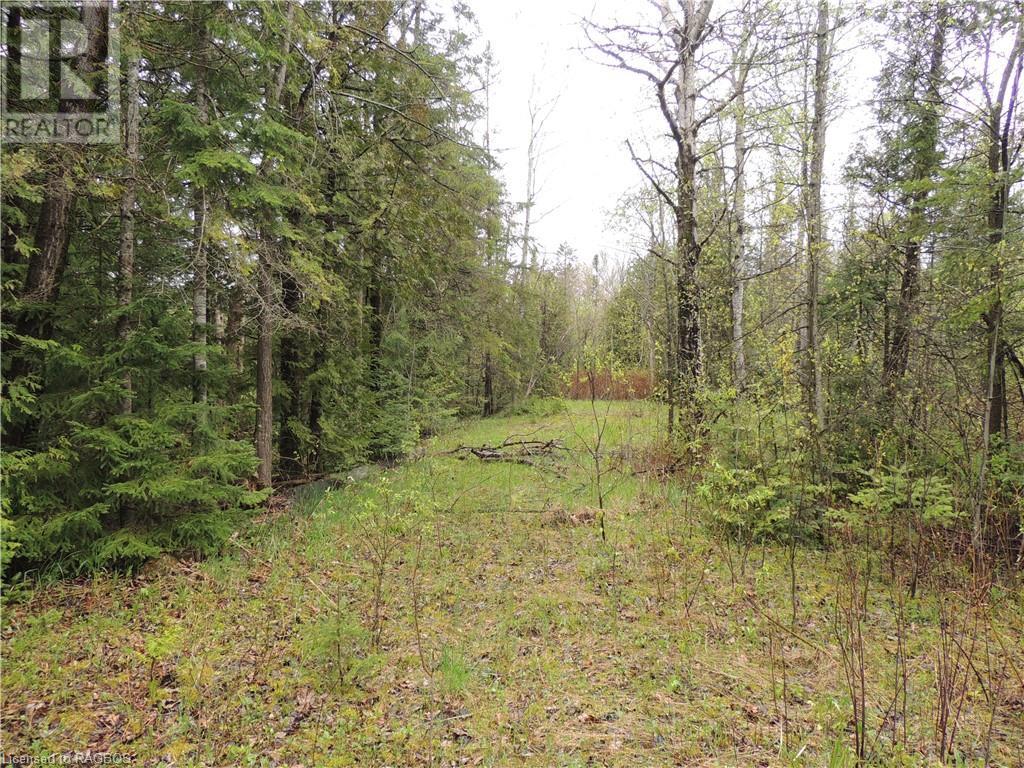 348305 4th Concession B, Grey Highlands, Ontario  N0C 1H0 - Photo 11 - 40593399