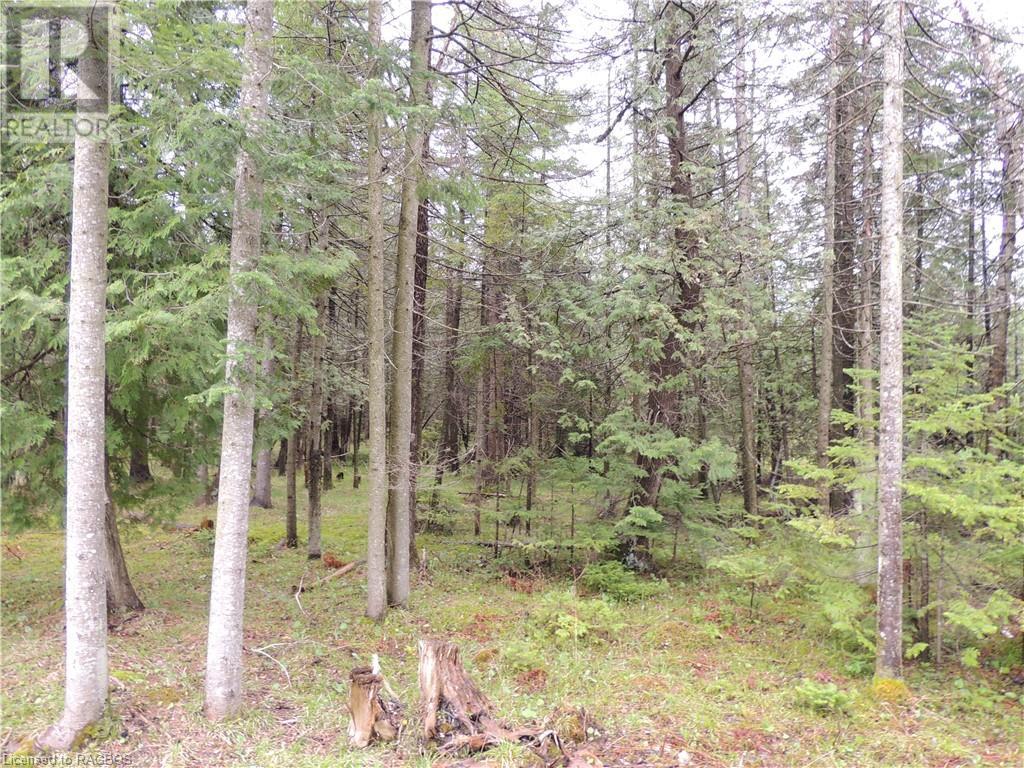 348305 4th Concession B, Grey Highlands, Ontario  N0C 1H0 - Photo 12 - 40593399