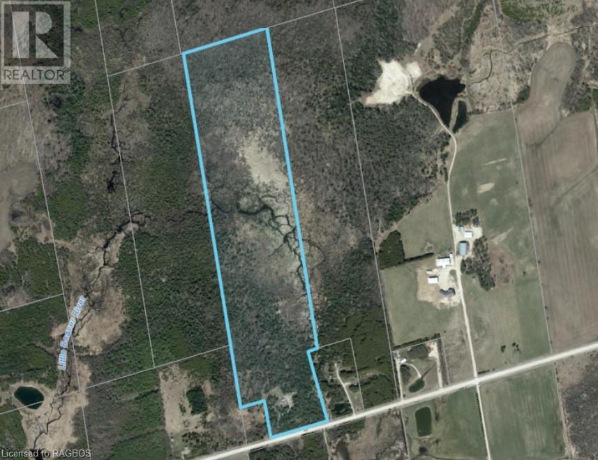 348305 4th Concession B, Grey Highlands, Ontario  N0C 1H0 - Photo 2 - 40593399