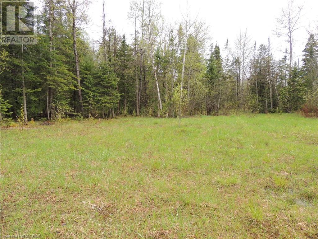 348305 4th Concession B, Grey Highlands, Ontario  N0C 1H0 - Photo 3 - 40593399