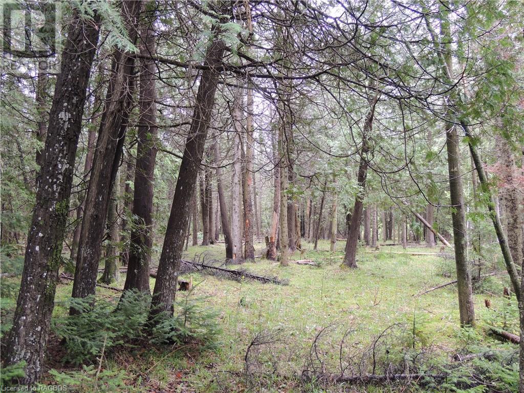 348305 4th Concession B, Grey Highlands, Ontario  N0C 1H0 - Photo 9 - 40593399