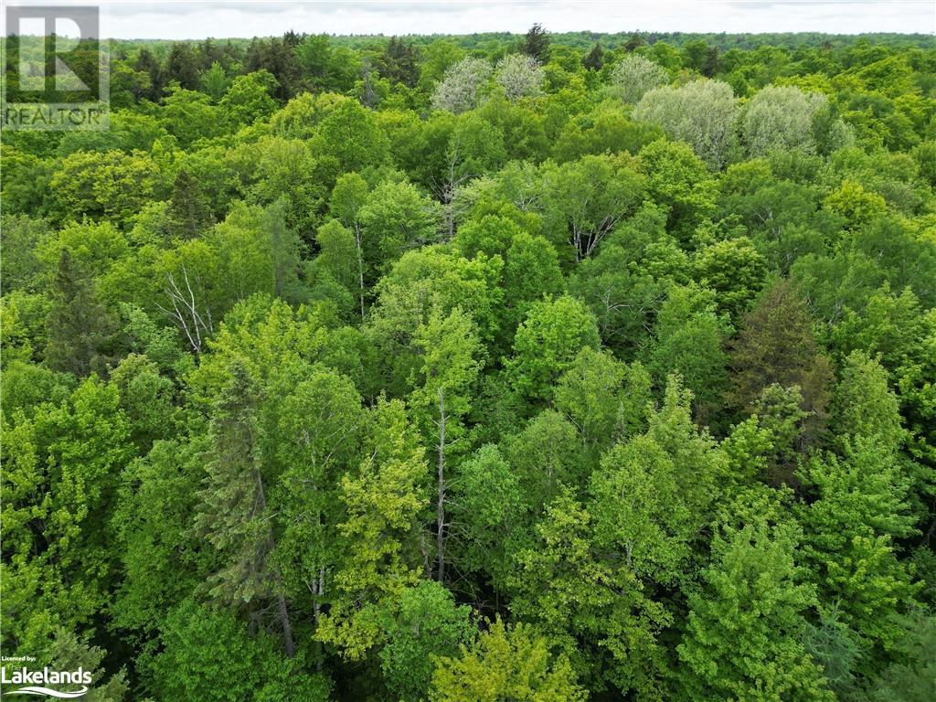 Part1-22342 East Road, Loring, Ontario  P0H 1S0 - Photo 2 - 40593631