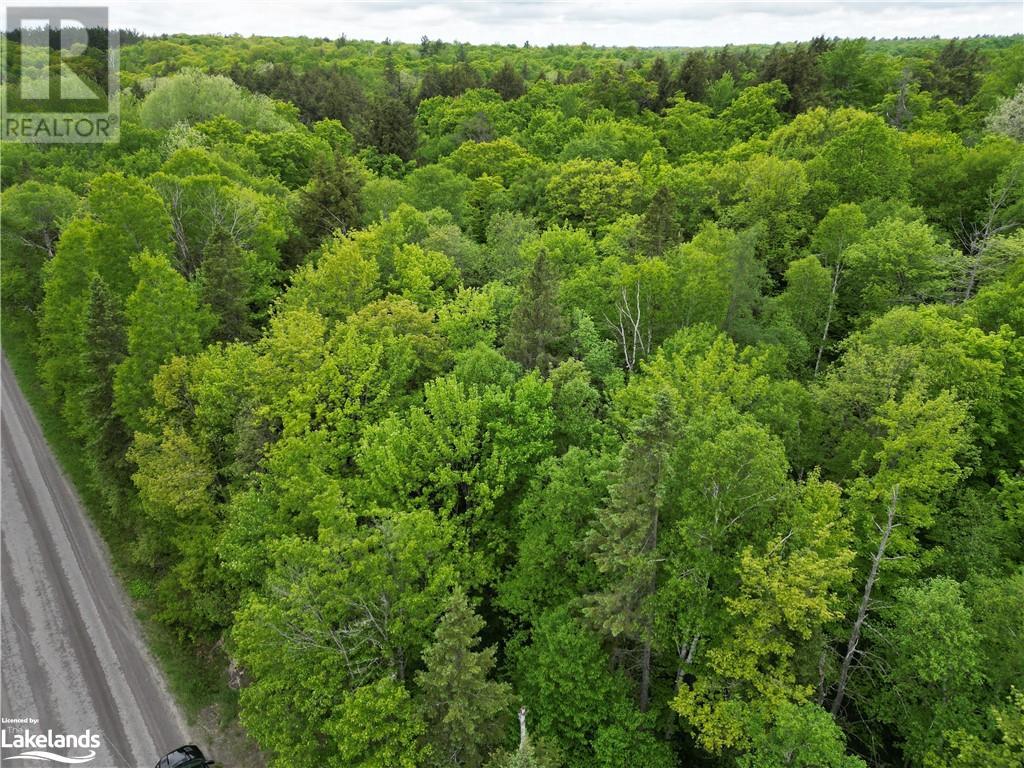 Part1-22342 East Road, Loring, Ontario  P0H 1S0 - Photo 4 - 40593631