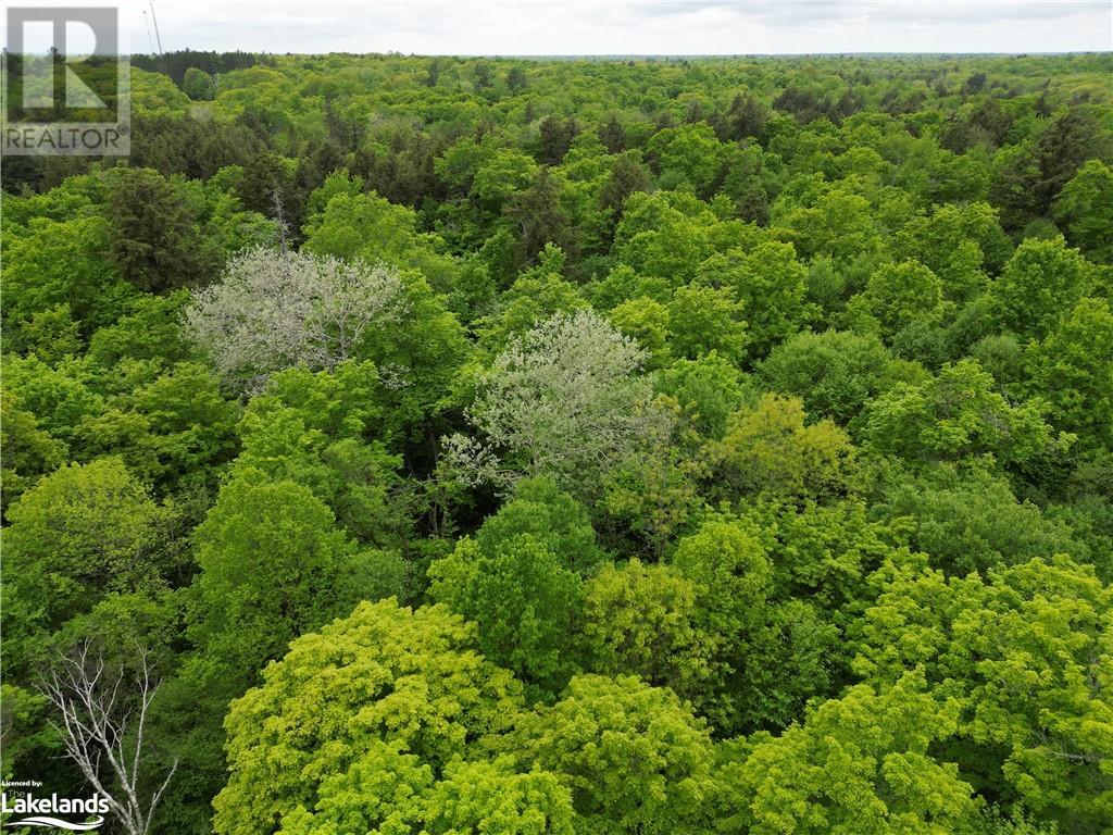 Part1-22342 East Road, Loring, Ontario  P0H 1S0 - Photo 3 - 40593631