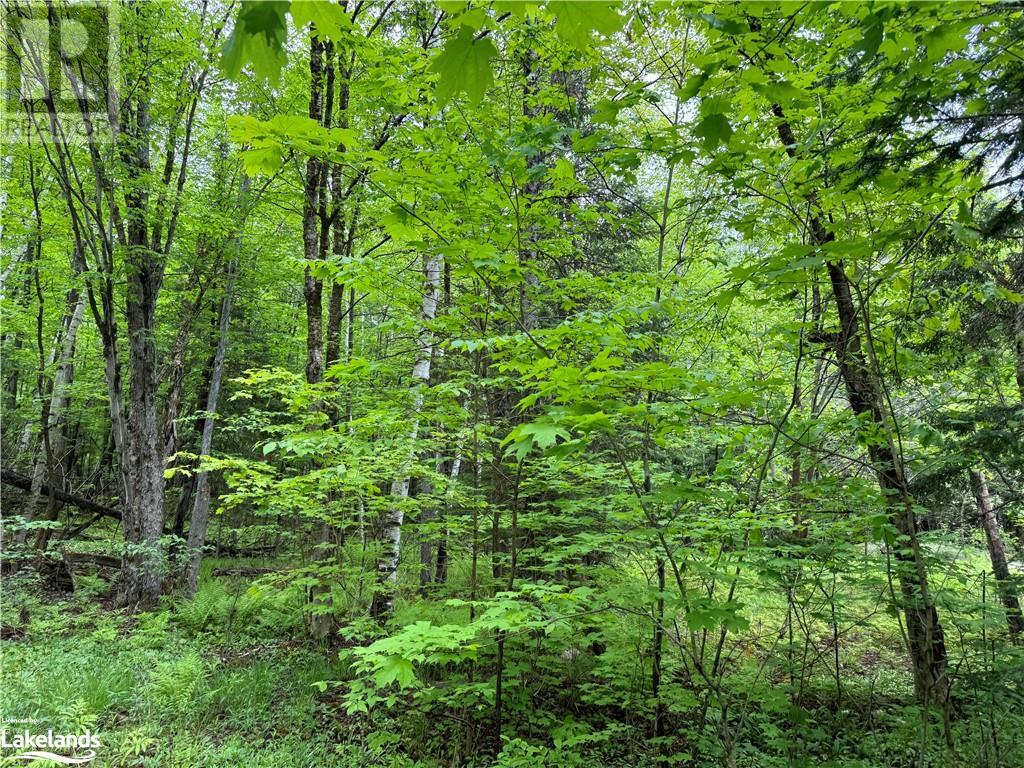 Part1-22342 East Road, Loring, Ontario  P0H 1S0 - Photo 5 - 40593631