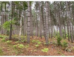 1477 WATSONS CORNERS ROAD