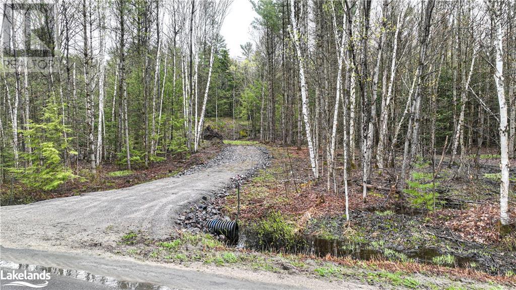 1735 Kilworthy Road, Gravenhurst, Ontario  P0E 1G0 - Photo 4 - 40593850
