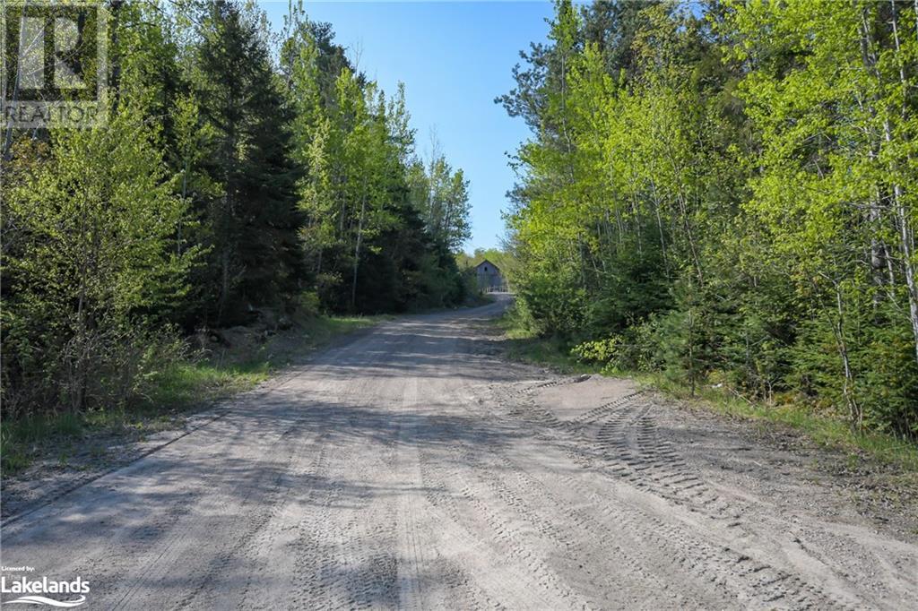 1302 Garage Road, Burk's Falls, Ontario  P0A 1C0 - Photo 28 - 40592570