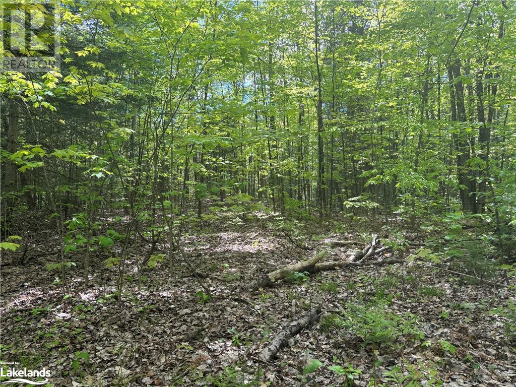 0 Spar Lake Road, Minden, Ontario  K0M 1S0 - Photo 2 - 40590519
