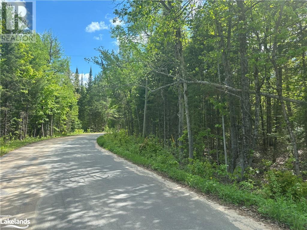 0 Spar Lake Road, Minden, Ontario  K0M 1S0 - Photo 6 - 40590519