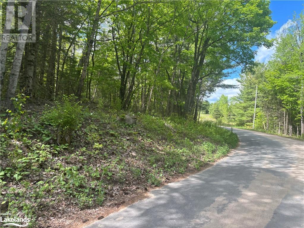 0 Spar Lake Road, Minden, Ontario  K0M 1S0 - Photo 8 - 40590519
