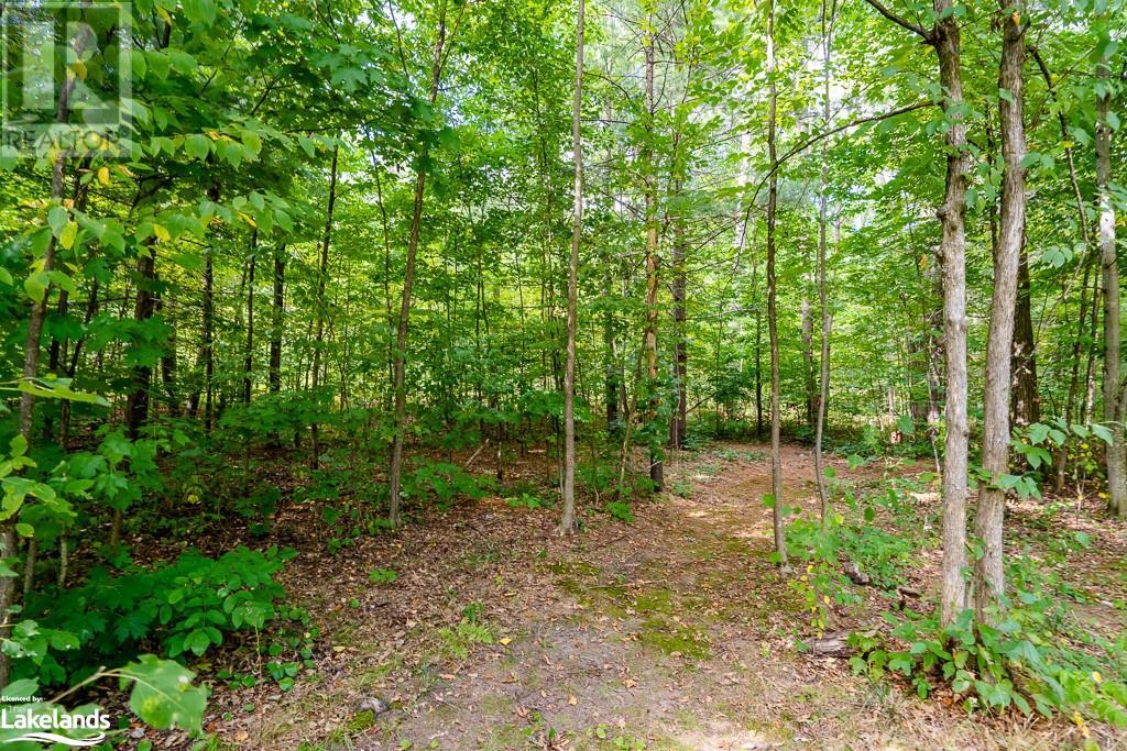 1650 Golf Link Road, Midland, Ontario  L4R 5K2 - Photo 28 - 40593854