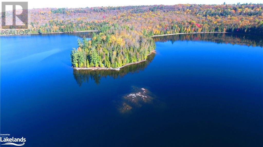 11045 GRACE LAKE - NORTH SHORE, wilberforce, Ontario