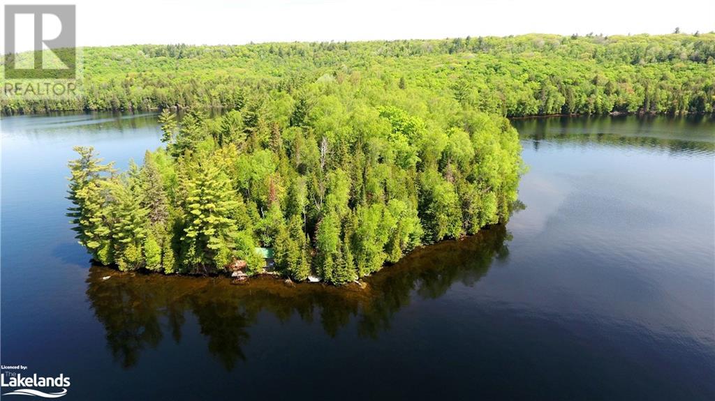 11045 Grace Lake - North Shore, Wilberforce, Ontario  K0L 3C0 - Photo 3 - 40493839