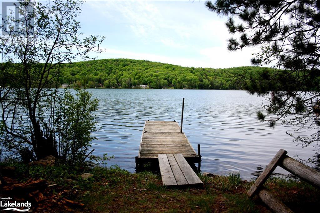 11045 Grace Lake - North Shore, Wilberforce, Ontario  K0L 3C0 - Photo 37 - 40493839