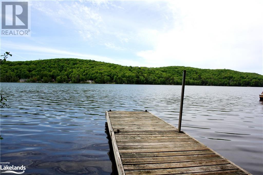 11045 Grace Lake - North Shore, Wilberforce, Ontario  K0L 3C0 - Photo 39 - 40493839