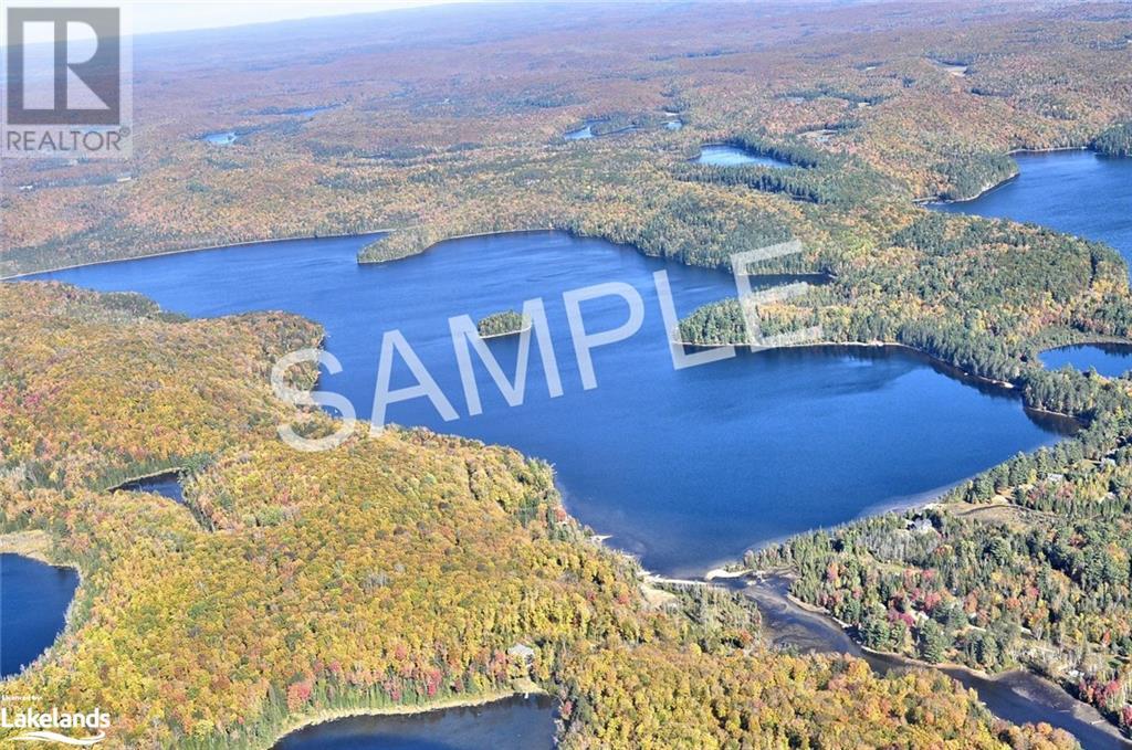 11045 Grace Lake - North Shore, Wilberforce, Ontario  K0L 3C0 - Photo 47 - 40493839