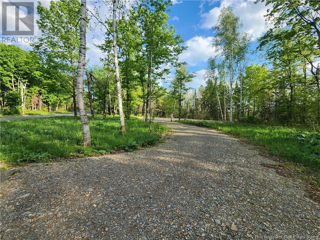 Undine Road, Drummond, New Brunswick  E3Y 2H5 - Photo 2 - NB097470