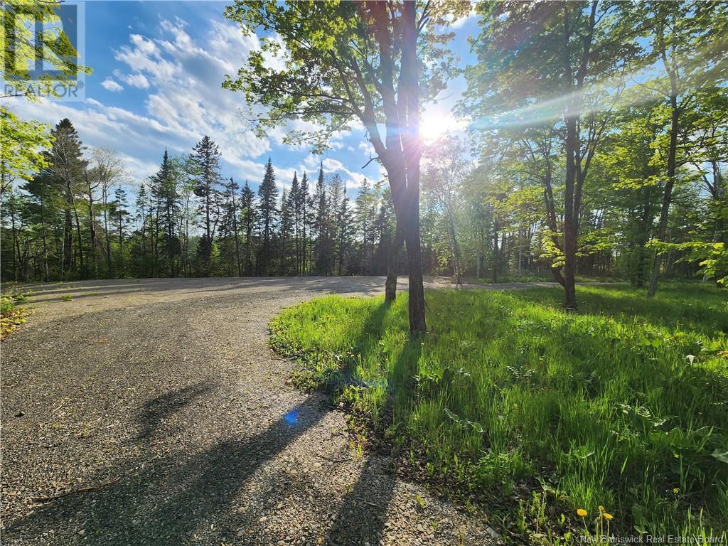 Undine Road, Drummond, New Brunswick  E3Y 2H5 - Photo 5 - NB097470