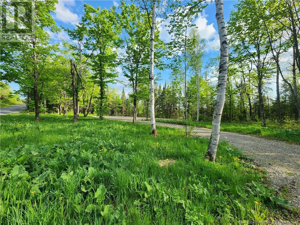 Undine Road, Drummond, New Brunswick