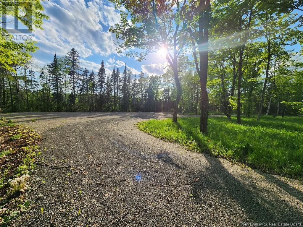 Undine Road, Drummond, New Brunswick  E3Y 2H5 - Photo 6 - NB097470