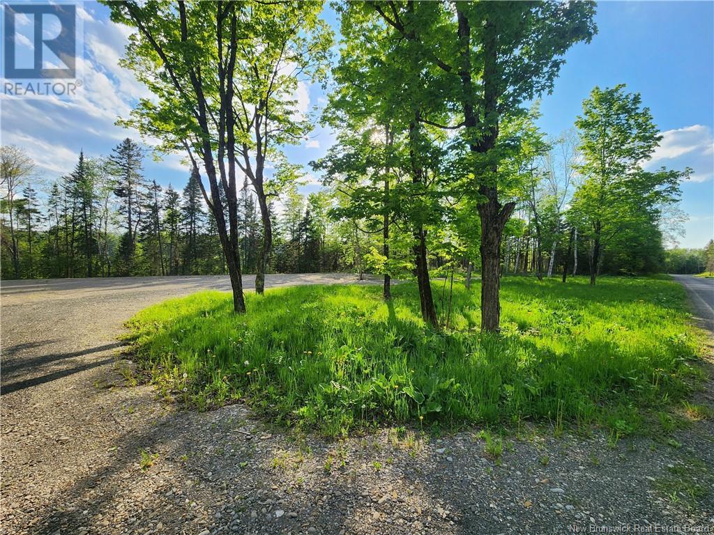 Undine Road, Drummond, New Brunswick  E3Y 2H5 - Photo 10 - NB097470