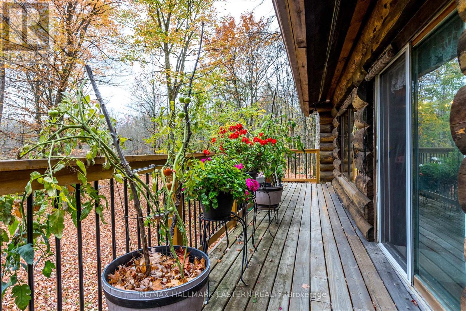Property at 720 COUNTY ROAD 507 image 3