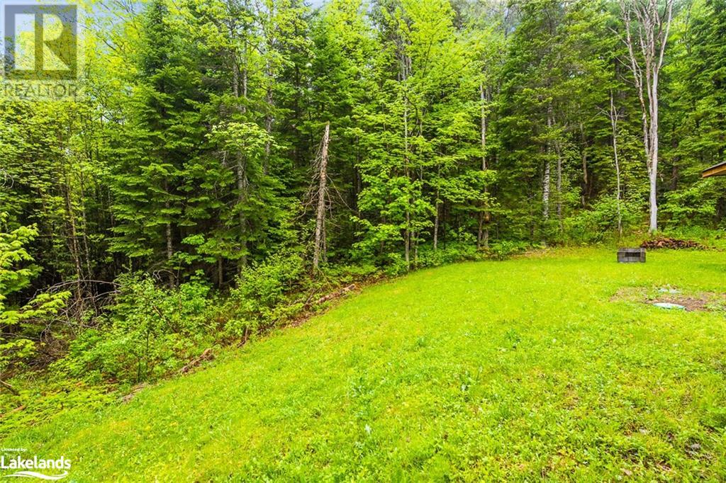 6315 County Road 503, Kinmount, Ontario  K0M 2A0 - Photo 28 - 40587546