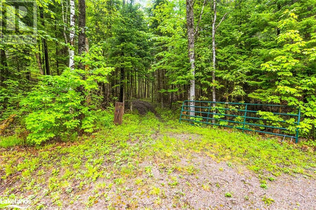 6315 County Road 503, Kinmount, Ontario  K0M 2A0 - Photo 30 - 40587546