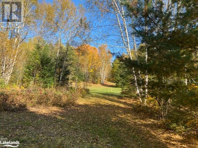 6315 County Road 503, Kinmount, Ontario  K0M 2A0 - Photo 32 - 40587546