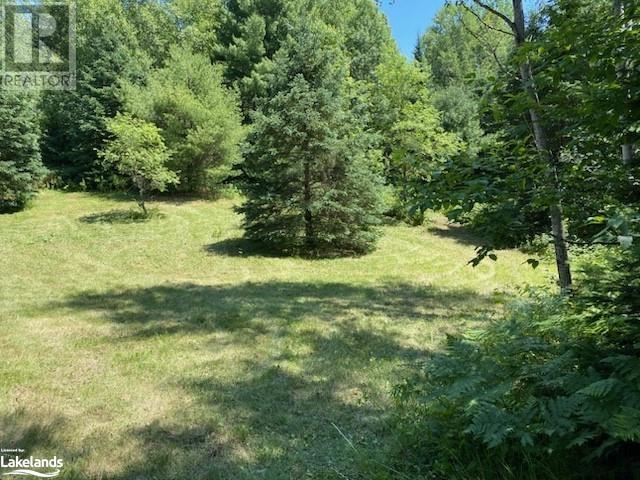 6315 County Road 503, Kinmount, Ontario  K0M 2A0 - Photo 33 - 40587546