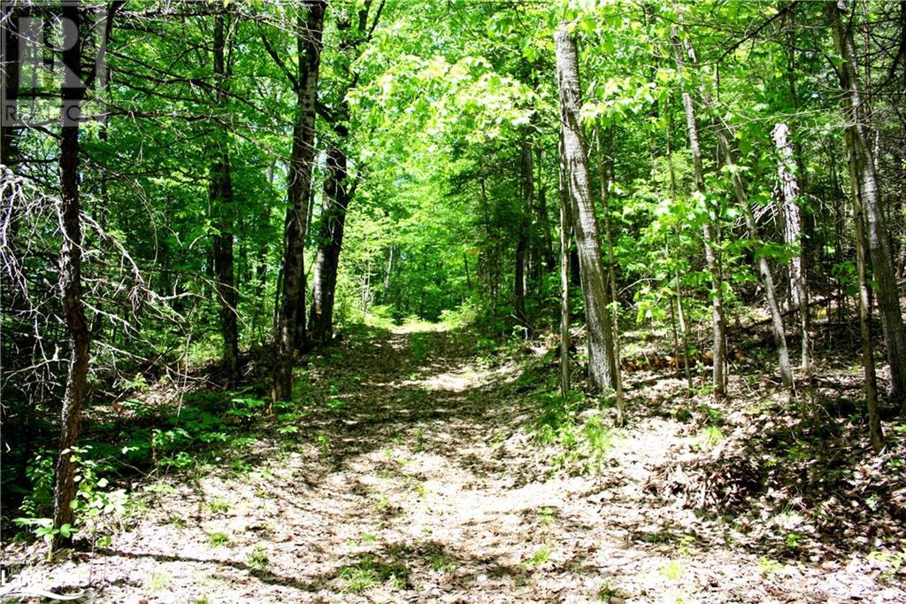 6315 County Road 503, Kinmount, Ontario  K0M 2A0 - Photo 36 - 40587546
