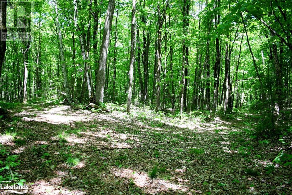 6315 County Road 503, Kinmount, Ontario  K0M 2A0 - Photo 38 - 40587546